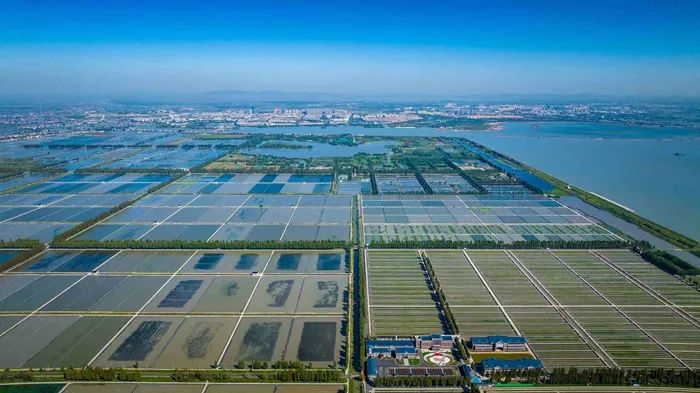 航拍高淳固城湖螃蟹核心區(qū)。高淳區(qū)融媒體中心供圖